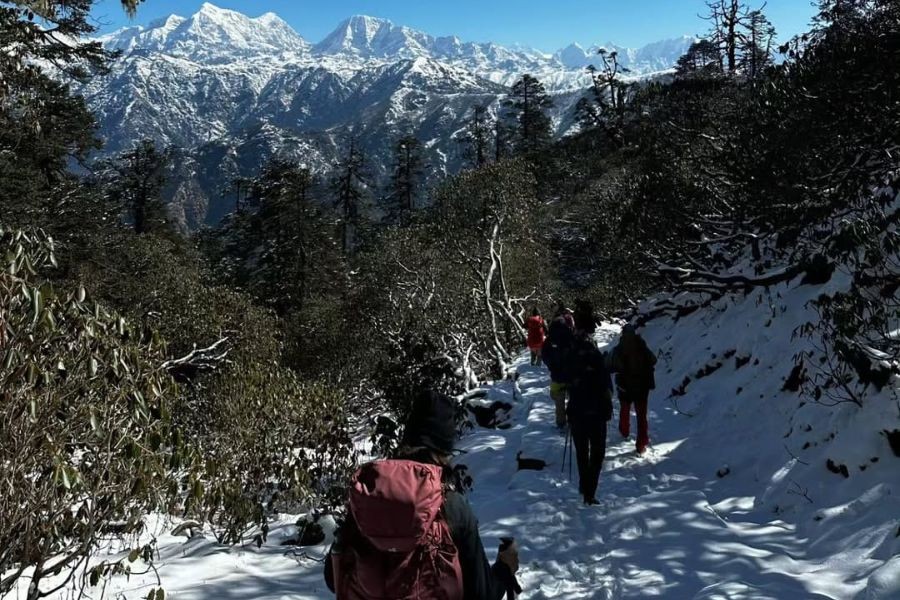 Trekkers walking a snowy forest trail on Pikey Peak.